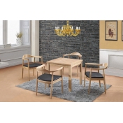 北欧风格家具，柳州餐桌椅